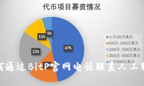 如何通过BitP官网电话联系人工服务