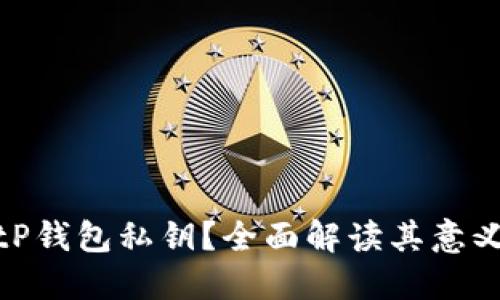 什么是BitP钱包私钥？全面解读其意义与安全性