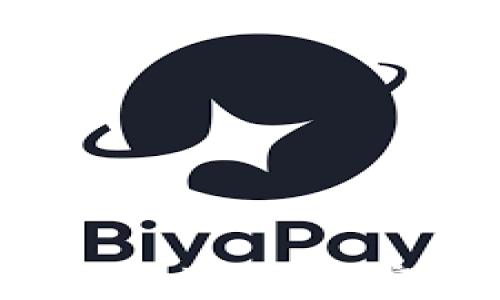 
Bitpie钱包安卓版下载与使用指南：安全、便捷的数字资产管理