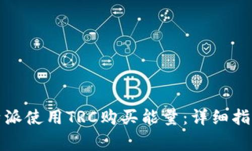 如何通过比特派使用TRC购买能量：详细指南与常见问题
