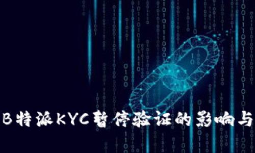 全面解析B特派KYC暂停验证的影响与应对策略