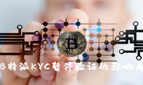 全面解析B特派KYC暂停验证的影响与应对策略
