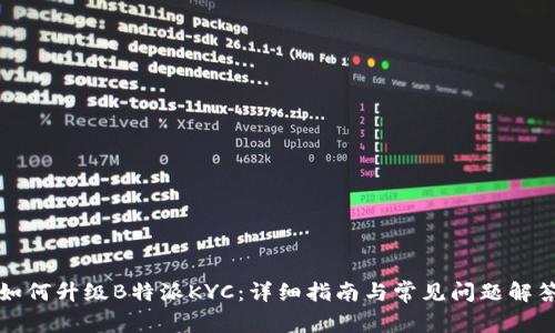 如何升级B特派KYC：详细指南与常见问题解答