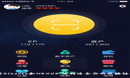 全面解析Bitdock和NEXUS：选择适合你的区块链技术平台