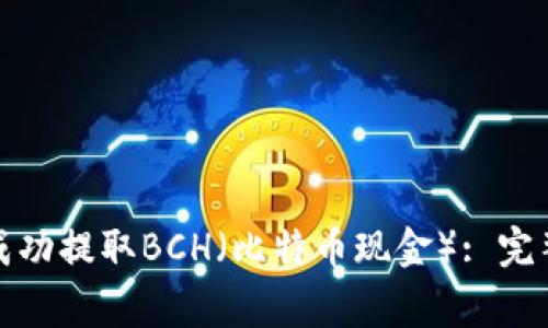 如何在比特派钱包中成功提取BCH（比特币现金）: 完整指南与常见问题解答