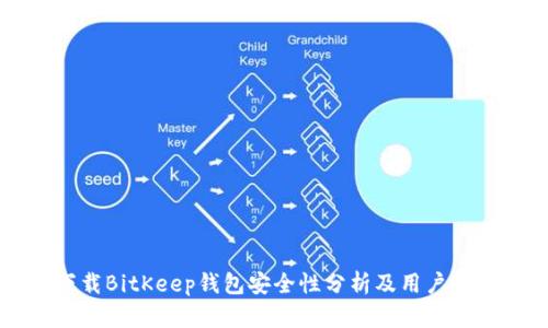 下载BitKeep钱包安全性分析及用户指南