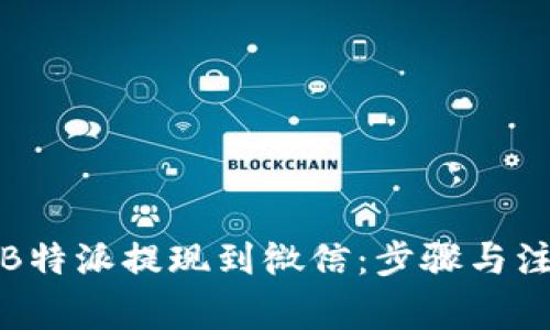 如何将B特派提现到微信：步骤与注意事项