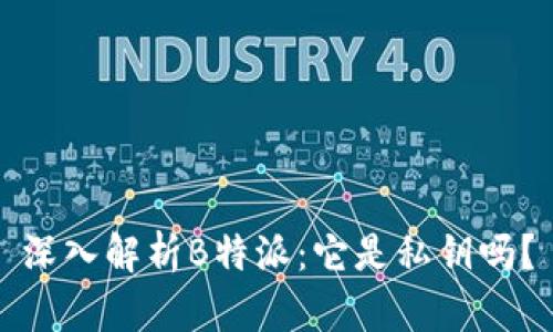 深入解析B特派：它是私钥吗？