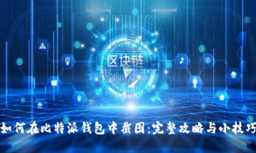 如何在比特派钱包中截图：完整攻略与小技巧