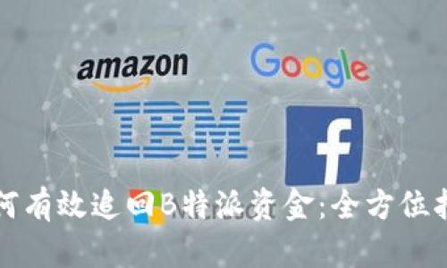 如何有效追回B特派资金：全方位指南