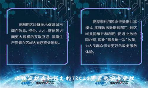 比特派护盾如何支持TRC20资产的安全管理