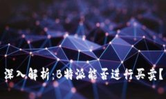 深入解析：B特派能否进行