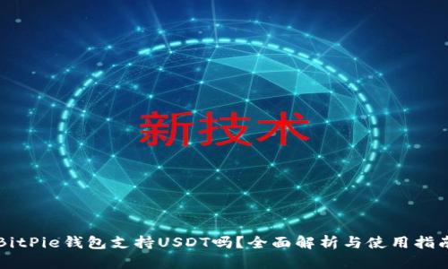 BitPie钱包支持USDT吗？全面解析与使用指南