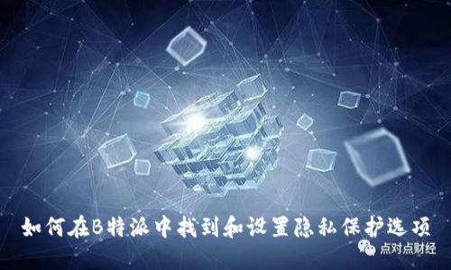 如何在B特派中找到和设置隐私保护选项