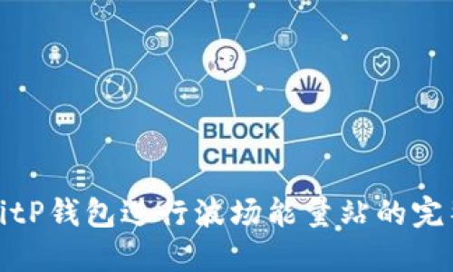使用BitP钱包进行波场能量站的完整指南