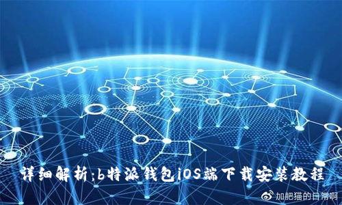 详细解析：b特派钱包iOS端下载安装教程
