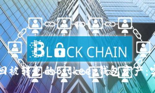 如何找回被转走的Bitkeep钱包资产：实用指南