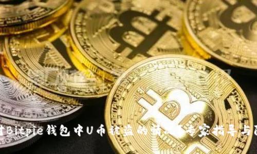 如何应对Bitpie钱包中U币被盗的情况？专家指导与防范措施