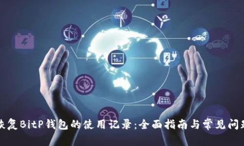如何恢复BitP钱包的使用记录：全面指南与常见问题解答