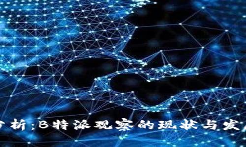 深入分析：B特派观察的现状与发展前景