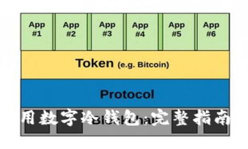 如何安全使用数字冷钱包：完整指南和实用技巧