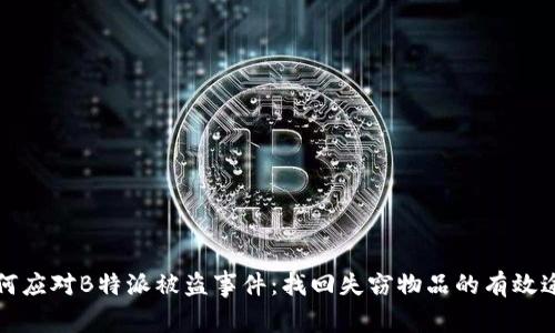 如何应对B特派被盗事件：找回失窃物品的有效途径