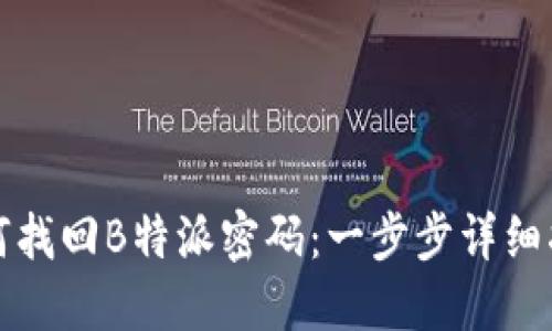 如何找回B特派密码：一步步详细指南