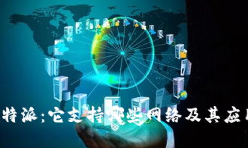 探秘B特派：它支持哪些网络及其应用场景