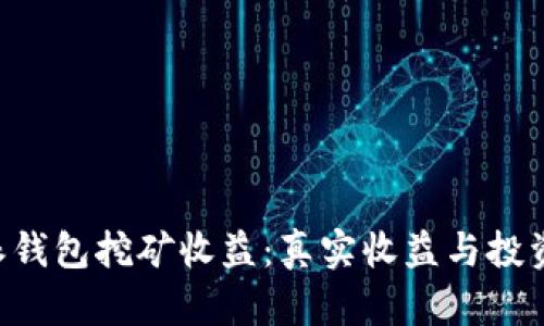 揭秘B特派钱包挖矿收益：真实收益与投资风险分析