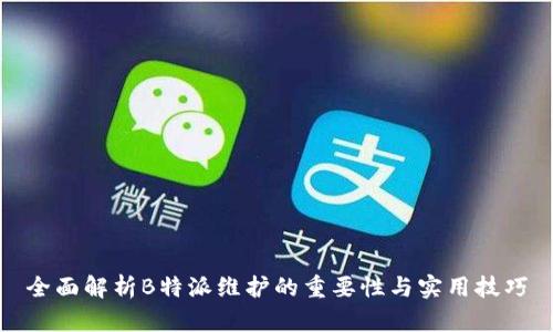 全面解析B特派维护的重要性与实用技巧