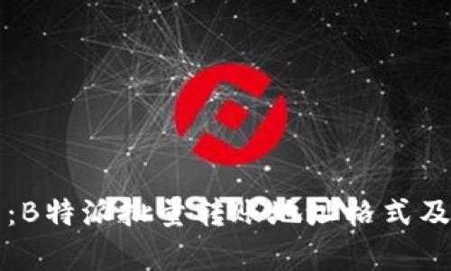完整解析：B特派批量转账地址格式及应用指南