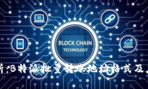 完整解析：B特派批量转账地址格式及应用指南