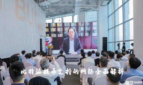 比特派提币支持的网络全面解析