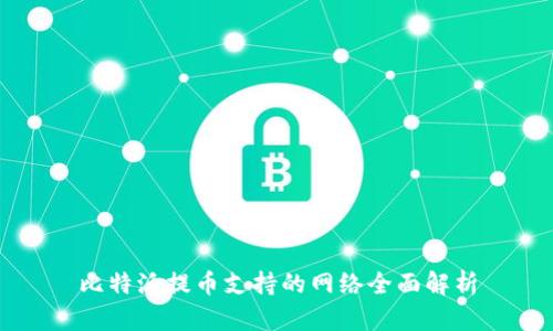 比特派提币支持的网络全面解析