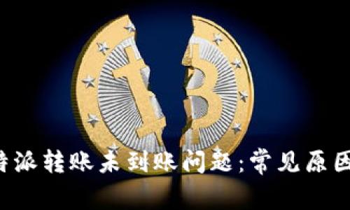 如何处理B特派转账未到账问题：常见原因与解决方案