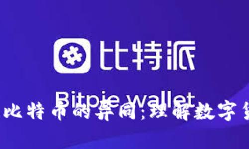 探秘B特派钱与比特币的异同：理解数字货币的核心概念