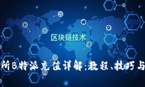 欧易交易所B特派充值详解：教程、技巧与注意事项
