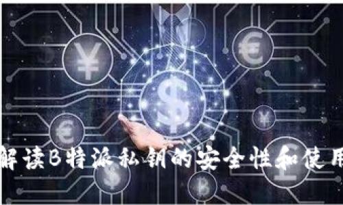 全面解读B特派私钥的安全性和使用指南