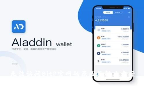 无法访问BitP官网的原因及解决方案