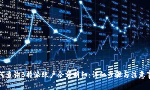 如何查询B特派账户余额明细：详细步骤与注意事项