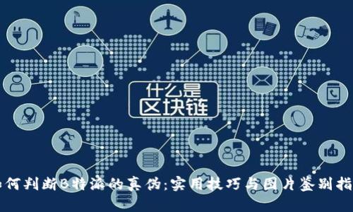 如何判断B特派的真伪：实用技巧与图片鉴别指南