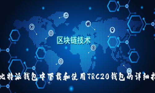 在比特派钱包中下载和使用TRC20钱包的详细指南