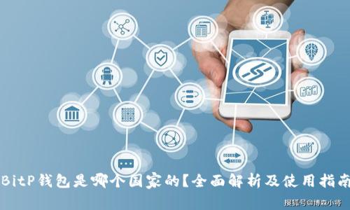 BitP钱包是哪个国家的？全面解析及使用指南