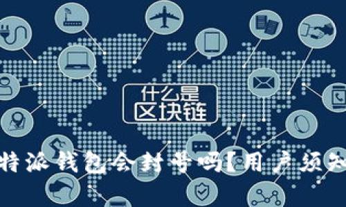 深入分析：b特派钱包会封号吗？用户须知的安全隐患