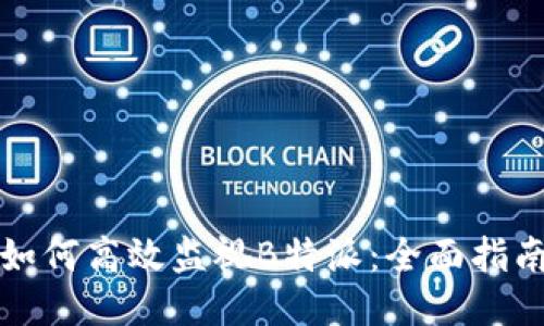 如何高效监视B特派：全面指南