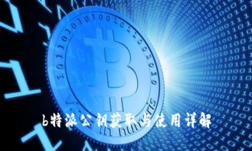 b特派公钥获取与使用详解