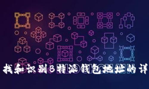 如何查找和识别B特派钱包地址的详细指南