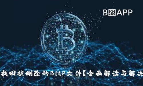 如何找回被删除的BitP文件？全面解读与解决方案