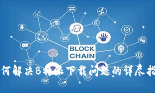 如何解决B特派下载问题的详尽指南